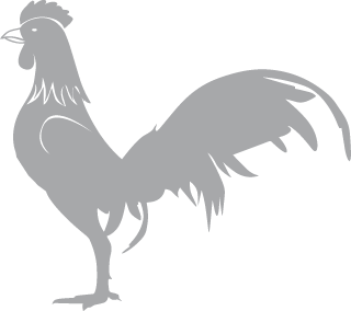 Gray Rooster Solutions